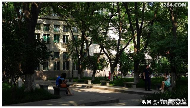 山东行游影记（15）—济南山东大学（二）