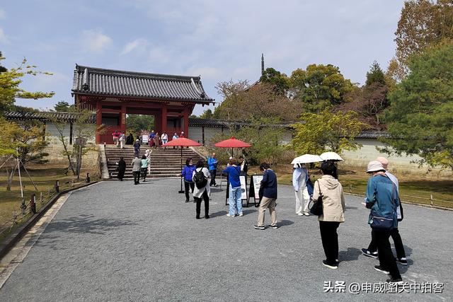 日本京都：走进仁和寺