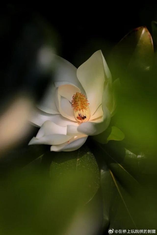 2025四季巡礼！100位寻美客邀你共绘最美泉城图鉴