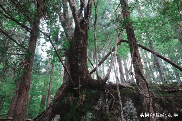 索尼 RX1R III 评测——口袋里的高品质街拍相机
