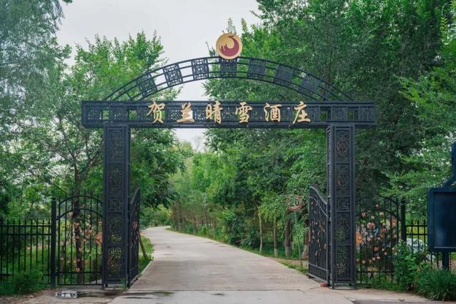 在戈壁滩从早喝到晚，这样的旅行才称得上与众不同！