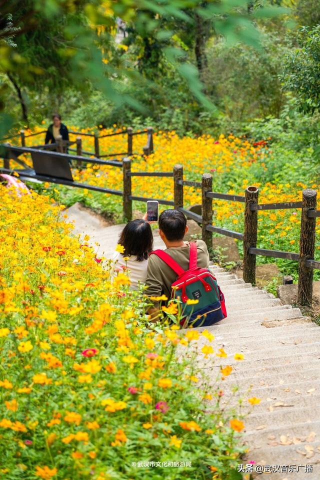 武汉这条登山花路爆火出圈