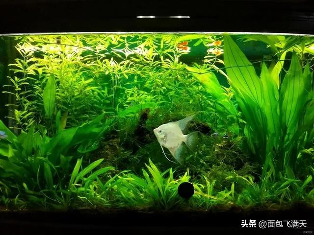 33年前，美国曾做过一个实验，将4男4女关一起两年，结果怎样
