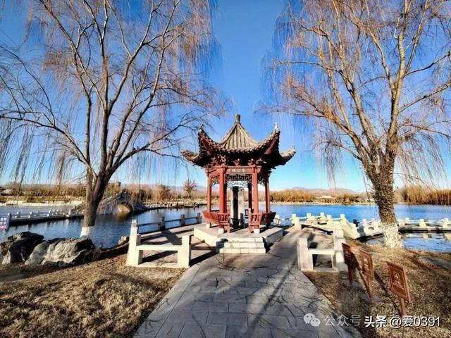 济源最美公园新春游园会开园基本确定！免费开放！