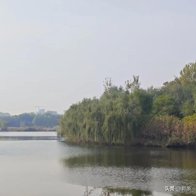 魏县:一卷斑斓 满城诗意