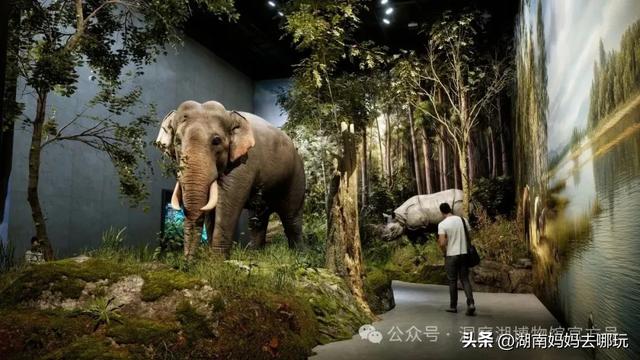 沉浸式幻境剧场、穿越级古楼奇妙夜…这才是亲子游的“神仙打开方式”