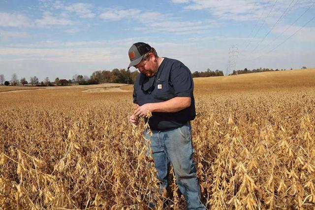 中国完不成 1200 万吨大豆采购，协议要黄？美方主动为中方辟谣