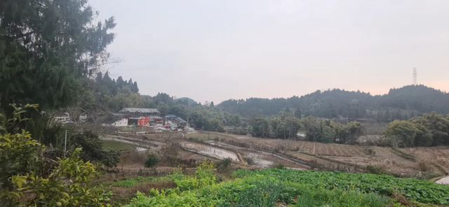 国庆节当天，南充嘉陵这条山沟逆天成了一帮文人墨客“打卡地”！