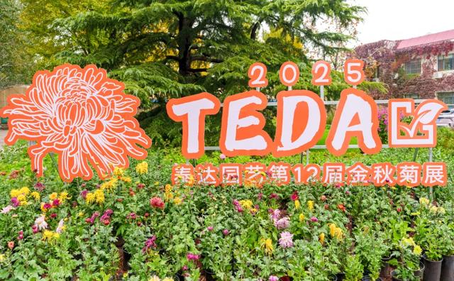 今日开幕！来泰达看百菊争艳