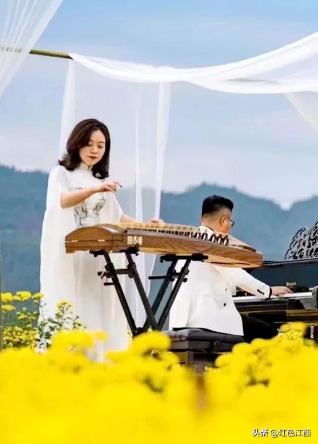 硒土菊黄，明月山的金色情书