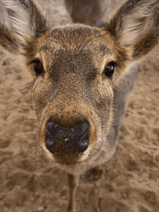 蒙冬之约 | 这个冬天“通”常“辽”解？不🤚是超“in”！