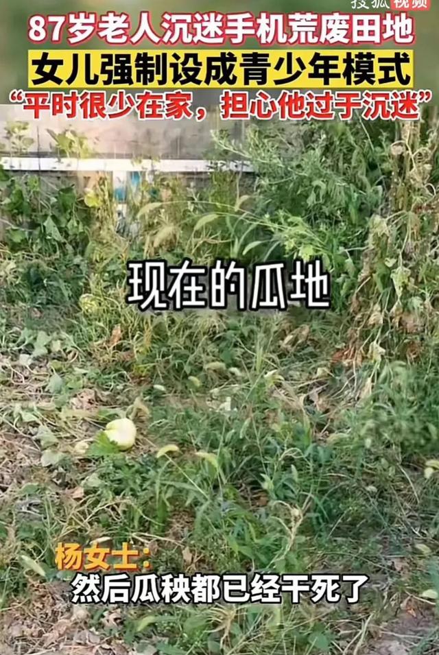 被挂上热搜的“超10万老人玩上瘾”事件，暴露当下社会残酷的现状
