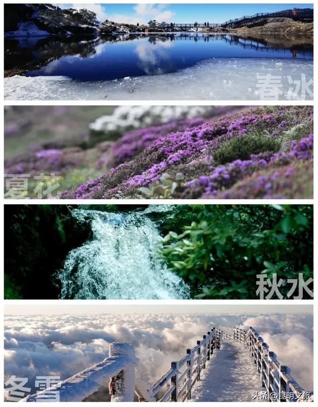 明天启幕!今年冬天“配享太庙”的玩雪好去处,在轿子山觉醒了!