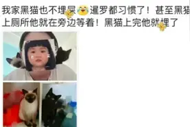 终于知道暹罗猫为啥叫菲佣!因为它会无差别照顾每一个人，笑麻了图片