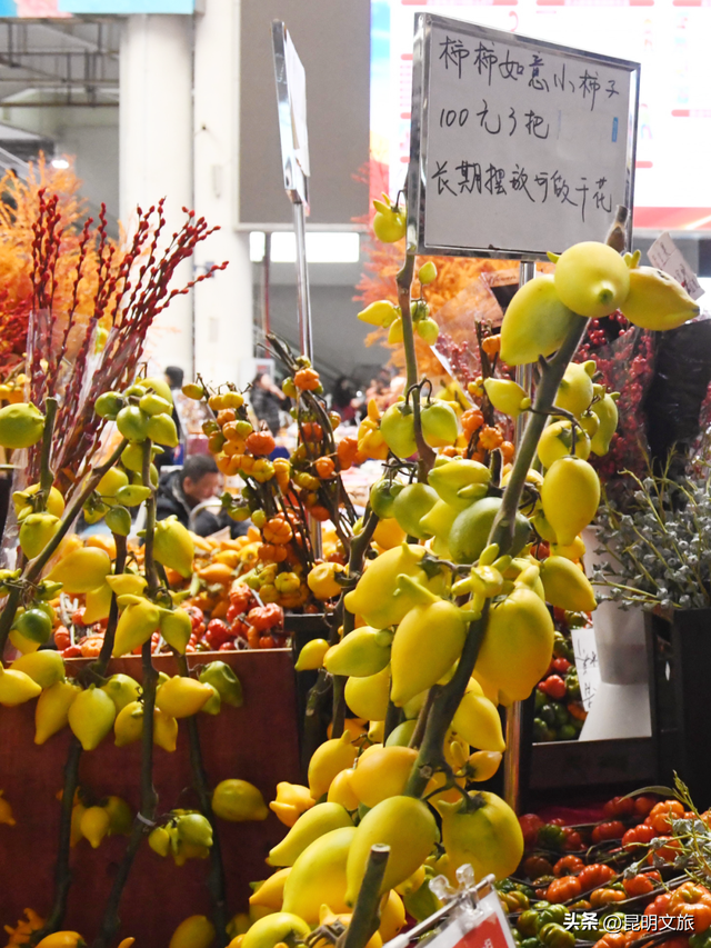 假期最后一天，留给斗南！好吗？把新年浪漫打包回家！