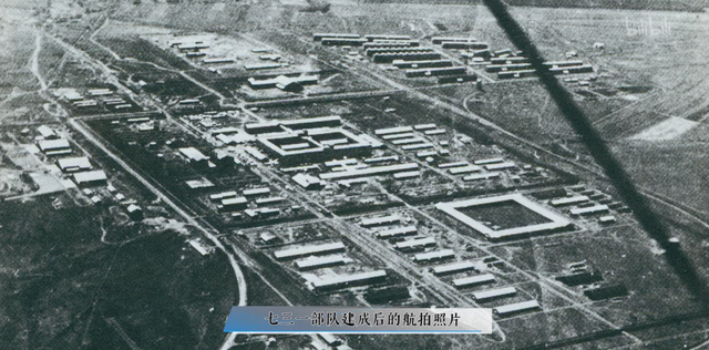 首日就创纪录，731有多可怕