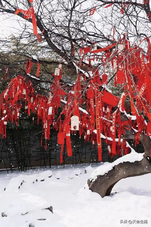 等一场雪，把商丘古城美成归德府