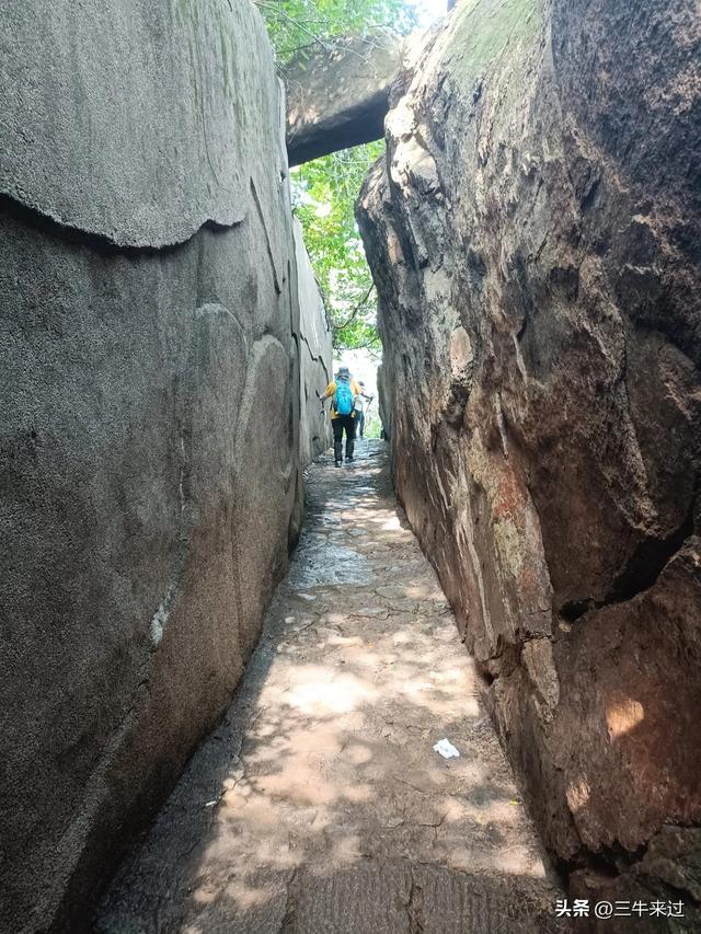 无为在歧路，避暑去鲁山