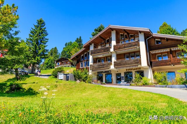 欧游杂记（5）‖ 齿轮火车几上几下瑞吉山，缆车凌空飞跃韦吉斯