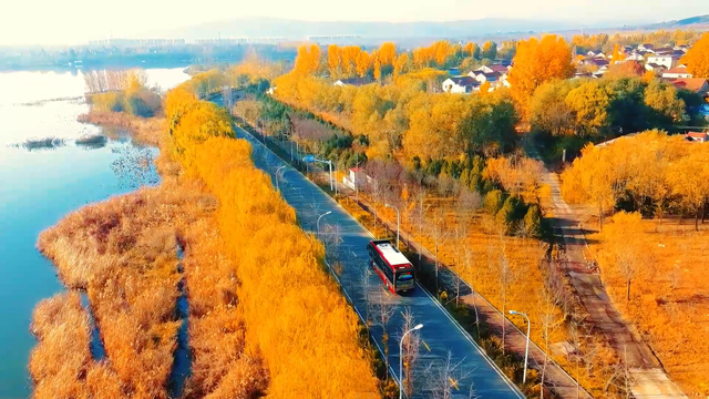 快上车！邂逅淄博的秋冬童话→