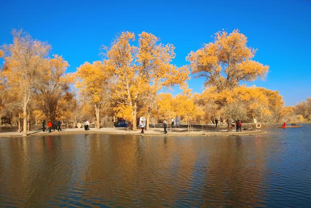 酒泉金塔胡杨林，时光凝固成美丽的神话，奔赴一场秋季的浪漫之旅