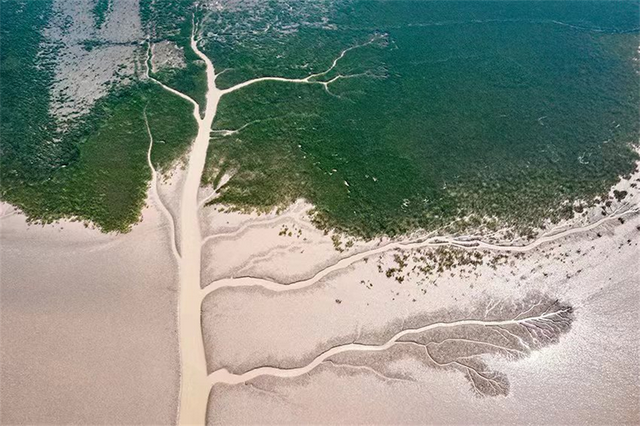 来东营，从从容容游刃有余！