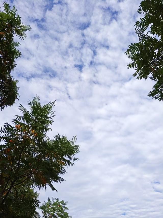 我总结了一下老年夫妻的现状，赶紧来对照一下，看看有你的影子吗