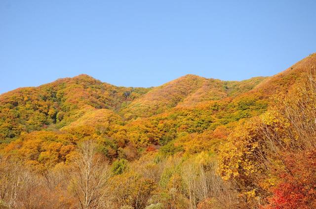 10月-11月，7个小众赏秋地，人少景美，秋景绝佳