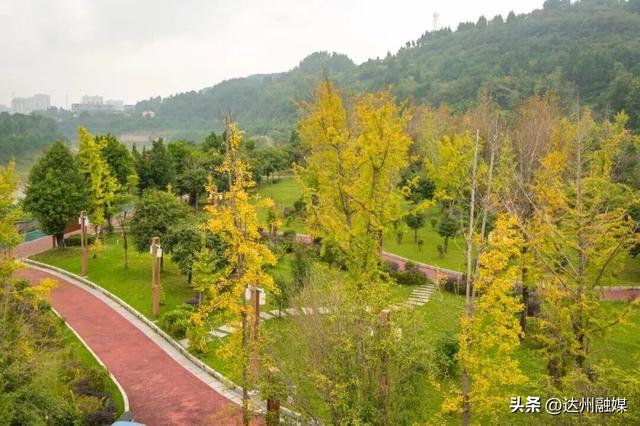 Run渠县，每一步都“热辣滚烫”