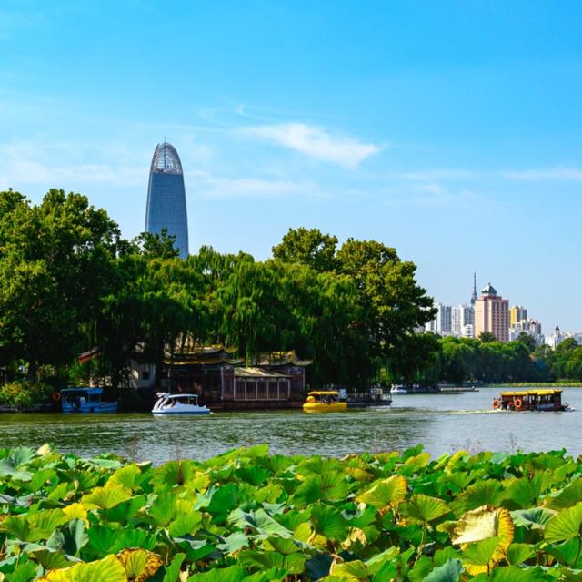 我是上海人，游大明湖，别挤超然楼反向打卡，夏天荷花看更值