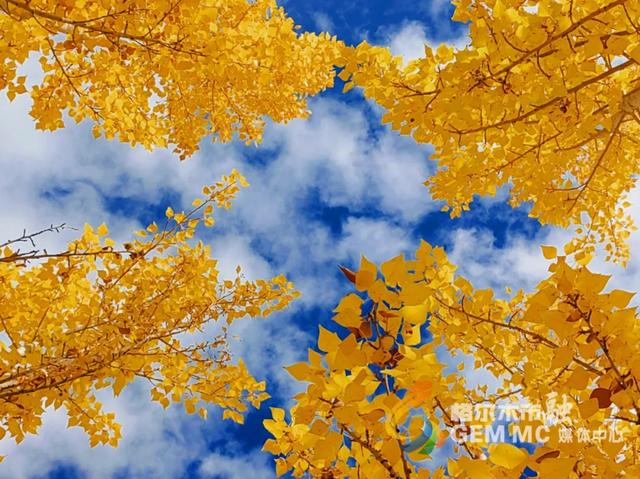 收藏！格尔木秋日美景，这份视觉盛宴千万别错过