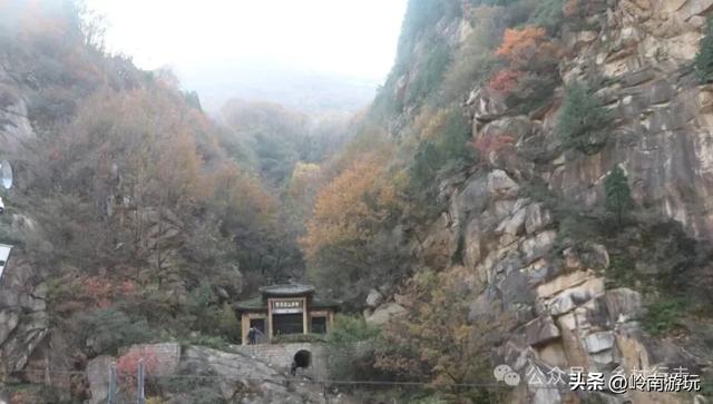 从西安出发,蓝田免费的4A级景区,爬山登高看秋景样样都很美!