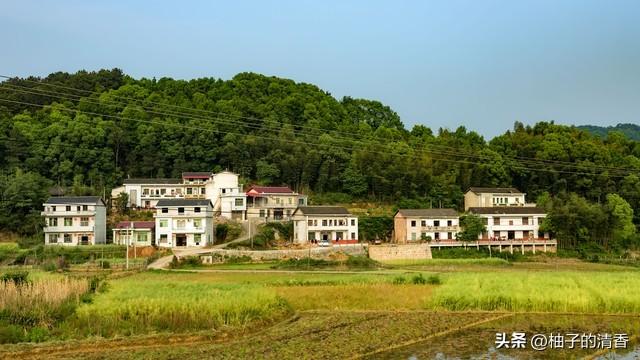 重磅！2026殡葬新规3月30日落地！这5大变化家家都要知道！