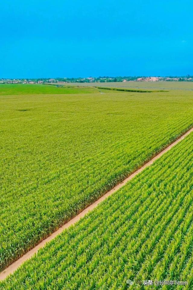 什么是美？文明榆阳给你答案