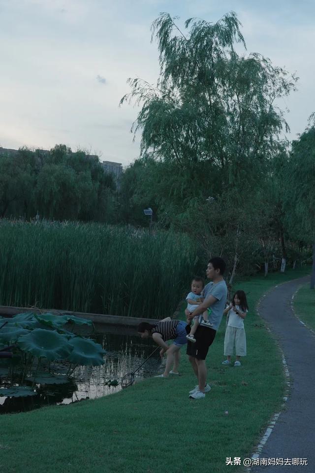 长沙人有自己的“东方明珠”？初秋，带娃往高处去！