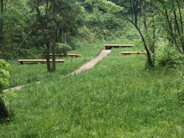“趣”南川，野一“夏”！南川露营地全攻略，藏着夏日清凉答案→