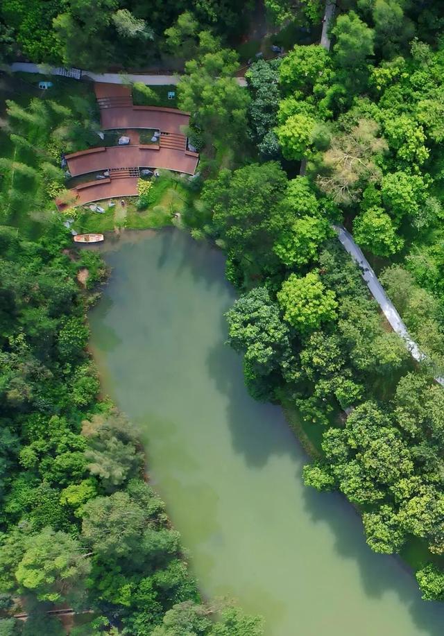 跟着全运“趣”龙岗！吃喝玩乐全攻略来啦~