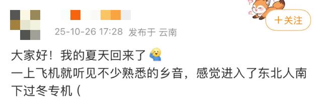 这可能是我买过的最离谱的特产: