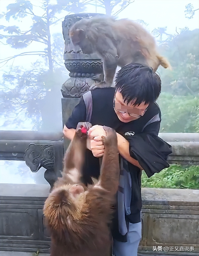 你打猴我打你！小伙威胁景区大爷，身份曝光被骂惨，景区力挺大爷