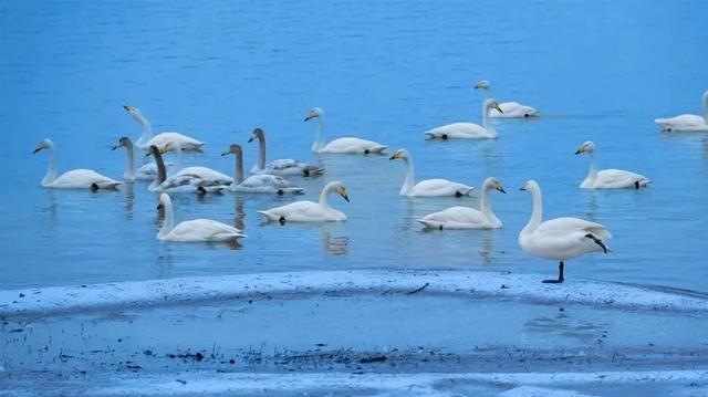 赴神仙之约!在运城读懂华夏根脉!