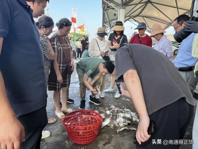 这么近那么鲜！快来南通吃海鲜！