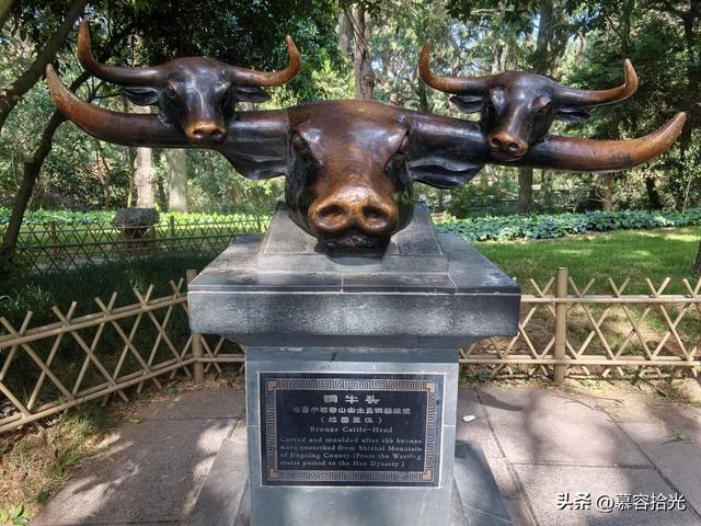 当铜殿被一只松鼠赋予轻盈