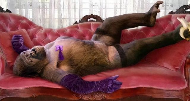 被锁暗室6年：剃毛穿丝袜当玩物，惨状撕开人类伪善面具