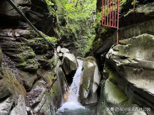 立秋已至，暑热未消，黑河山水与你相约“剩”夏的时光