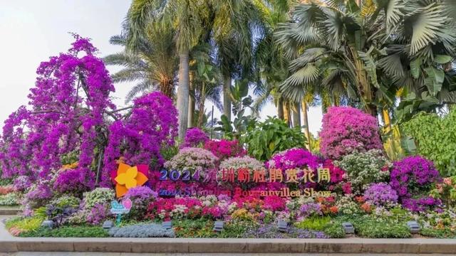 这周五，莲花山要热闹起来了！！