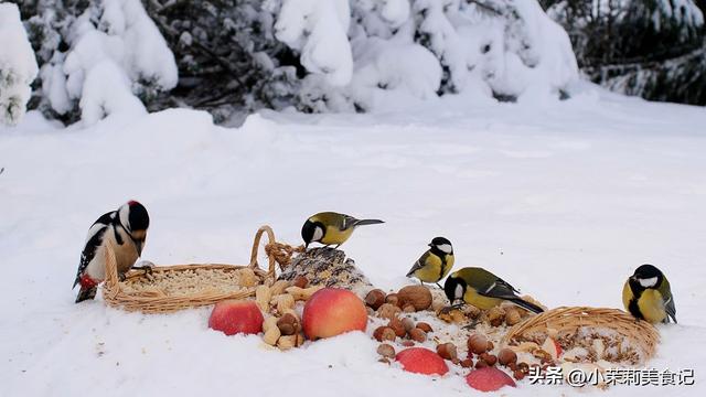 “上午立冬，风雪狂；下午立冬，冬不寒”，今年立冬在哪？早了解