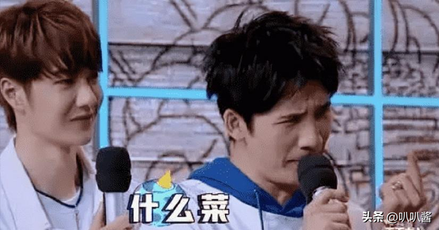狐狸尾巴藏不住，撒谎成性、风流潇洒的张柏芝，被陈晓东撕下体面
