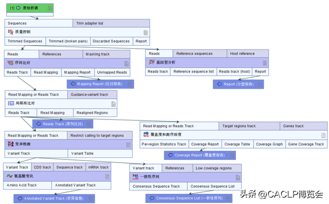 万孚、复星、伯杰、华大基因、迪安等企业助力基孔肯雅热病毒检测