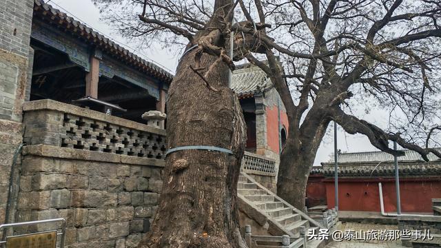 泰安：它被誉为泰山“开山第一庙”，却常常遭到登山游客的忽略