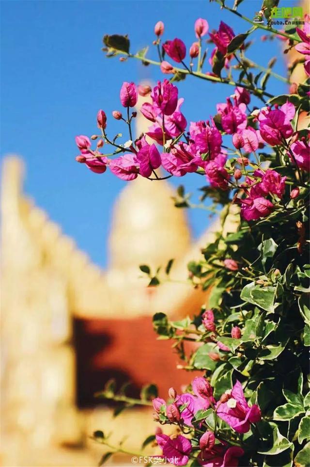 云南边陲21℃小城，比版纳好吃10倍，有多低调，就有多宝藏！